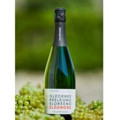 Champagne Eleonore Ambigramme