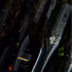 Champagne Eleonore Mystere 9